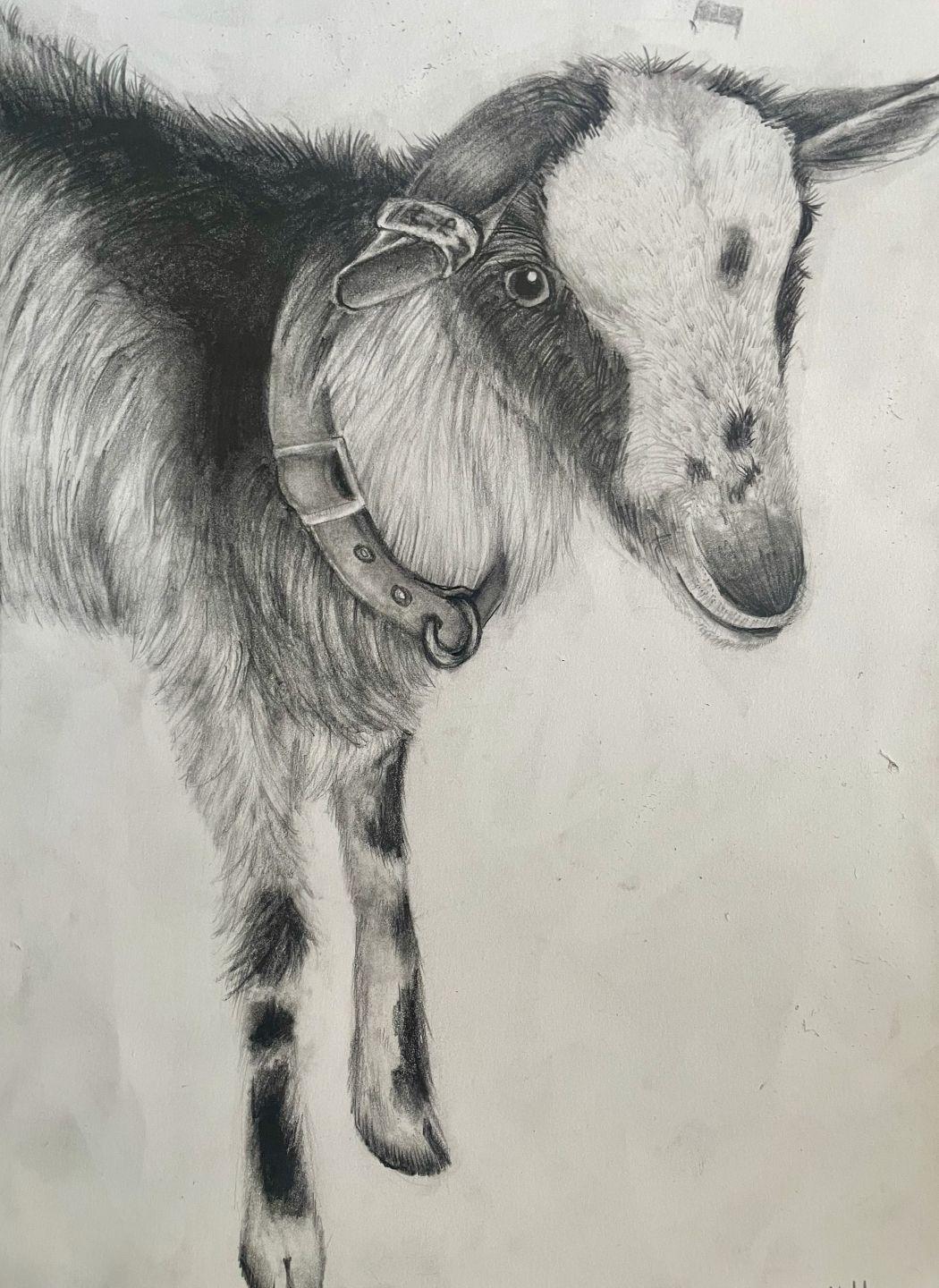 Denise Messer The Goat