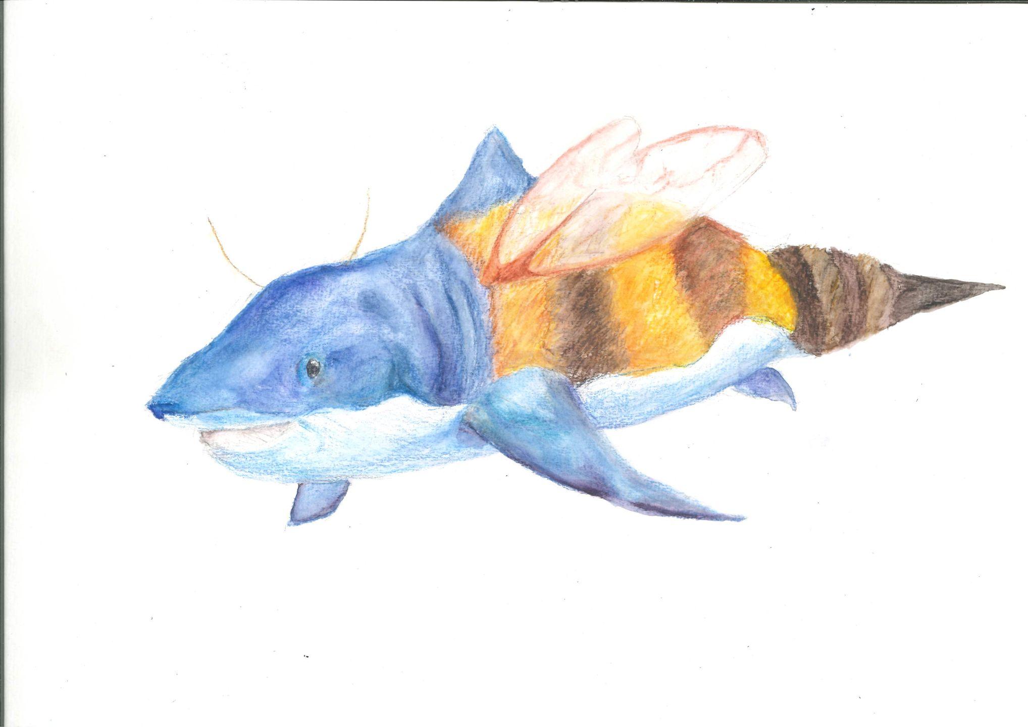 Erica Kok Hybrid Shark bee