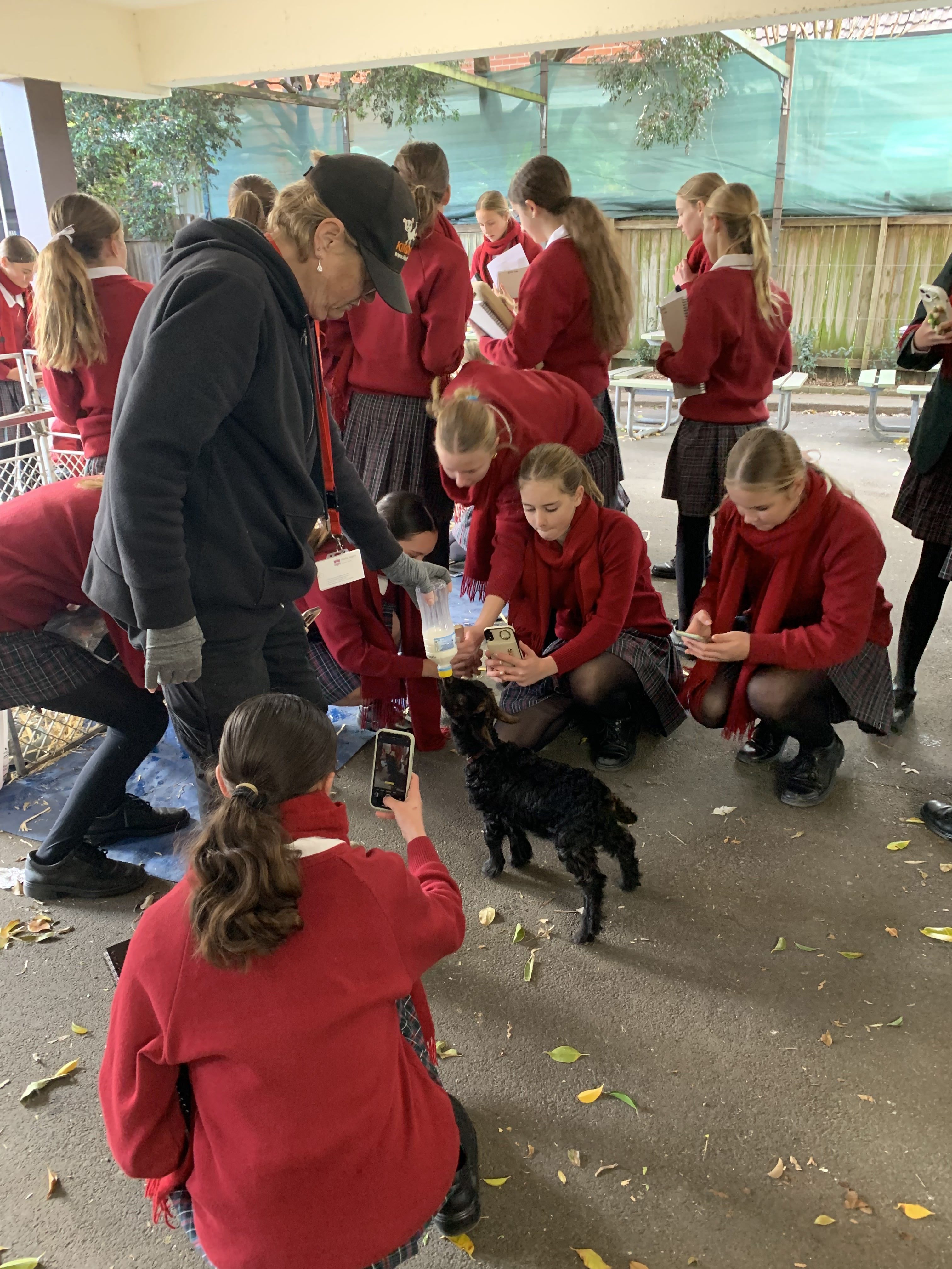 B59 BCEA3 1609 4 CAD BA29 D8 BE86172900