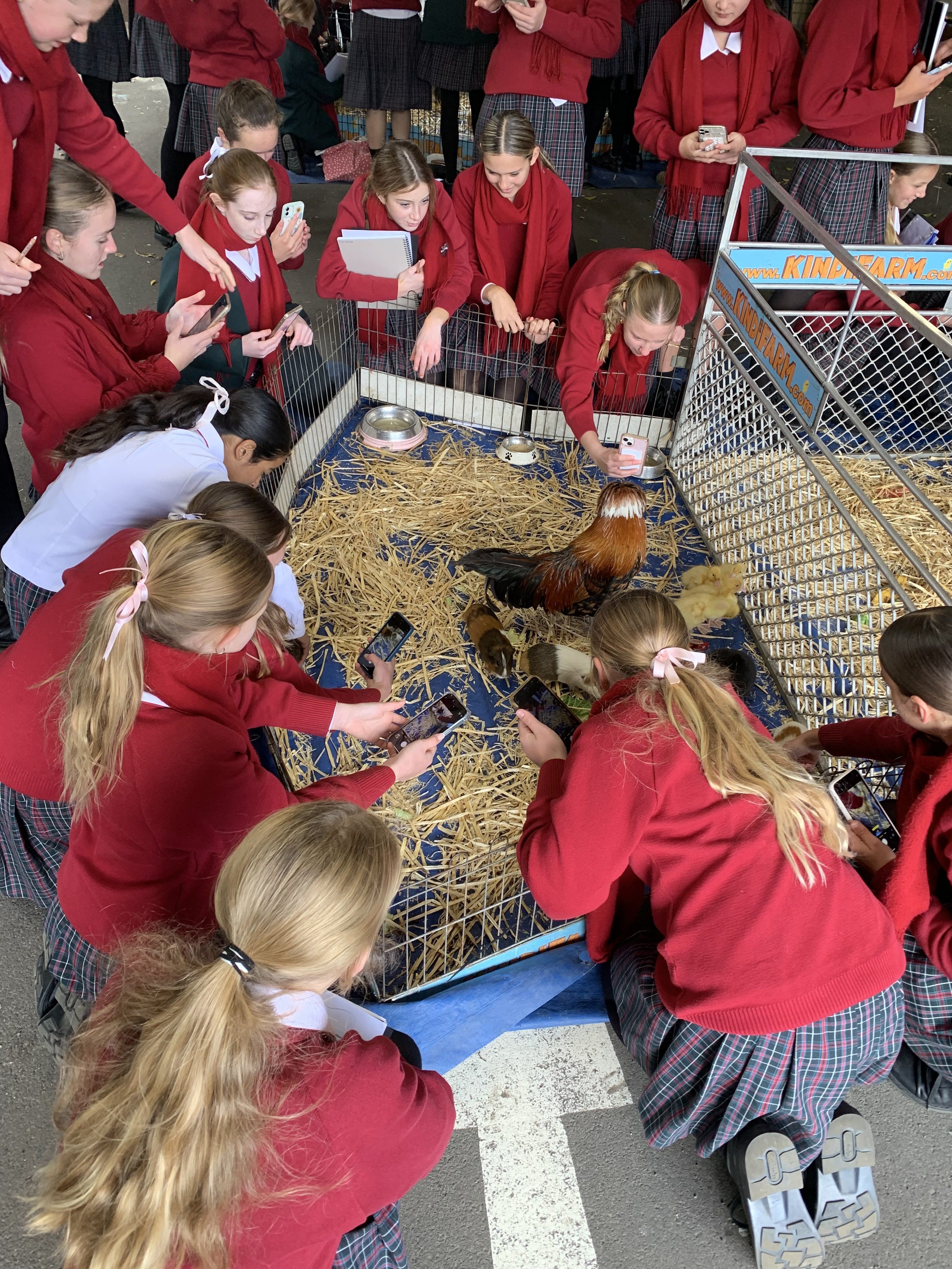 EC082 DBF 84 F2 4 CE9 819 C F1 B1399 C088 D