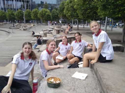 Resized 20260225 112748