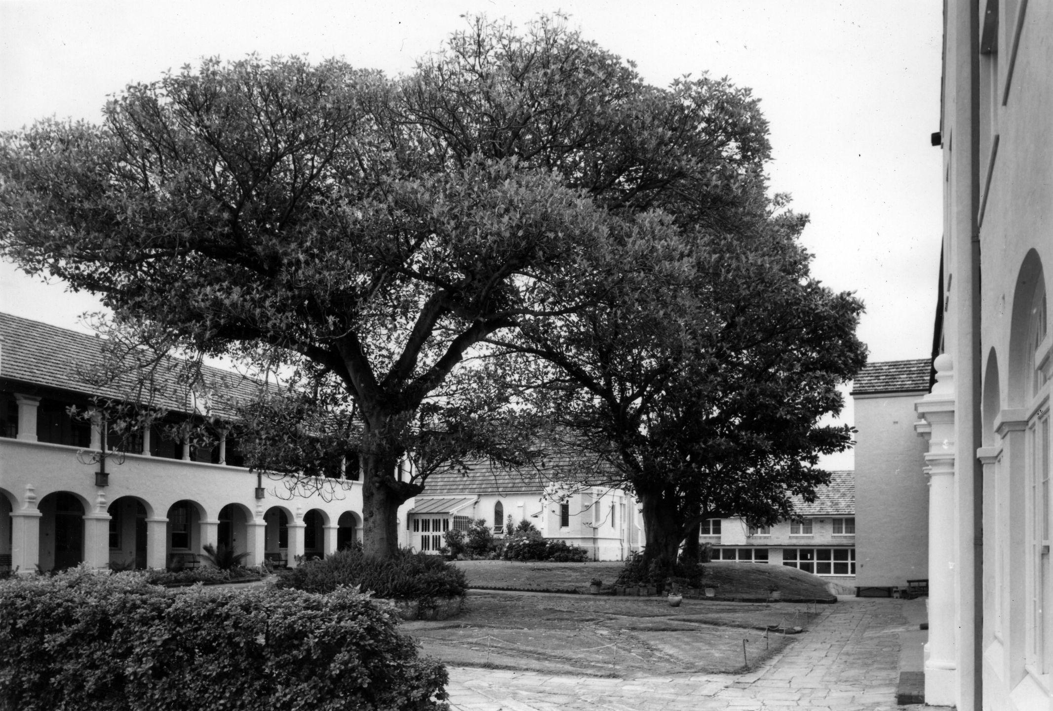 Stella Maris Side view of convent and grounds looking towards the Chapel 1981